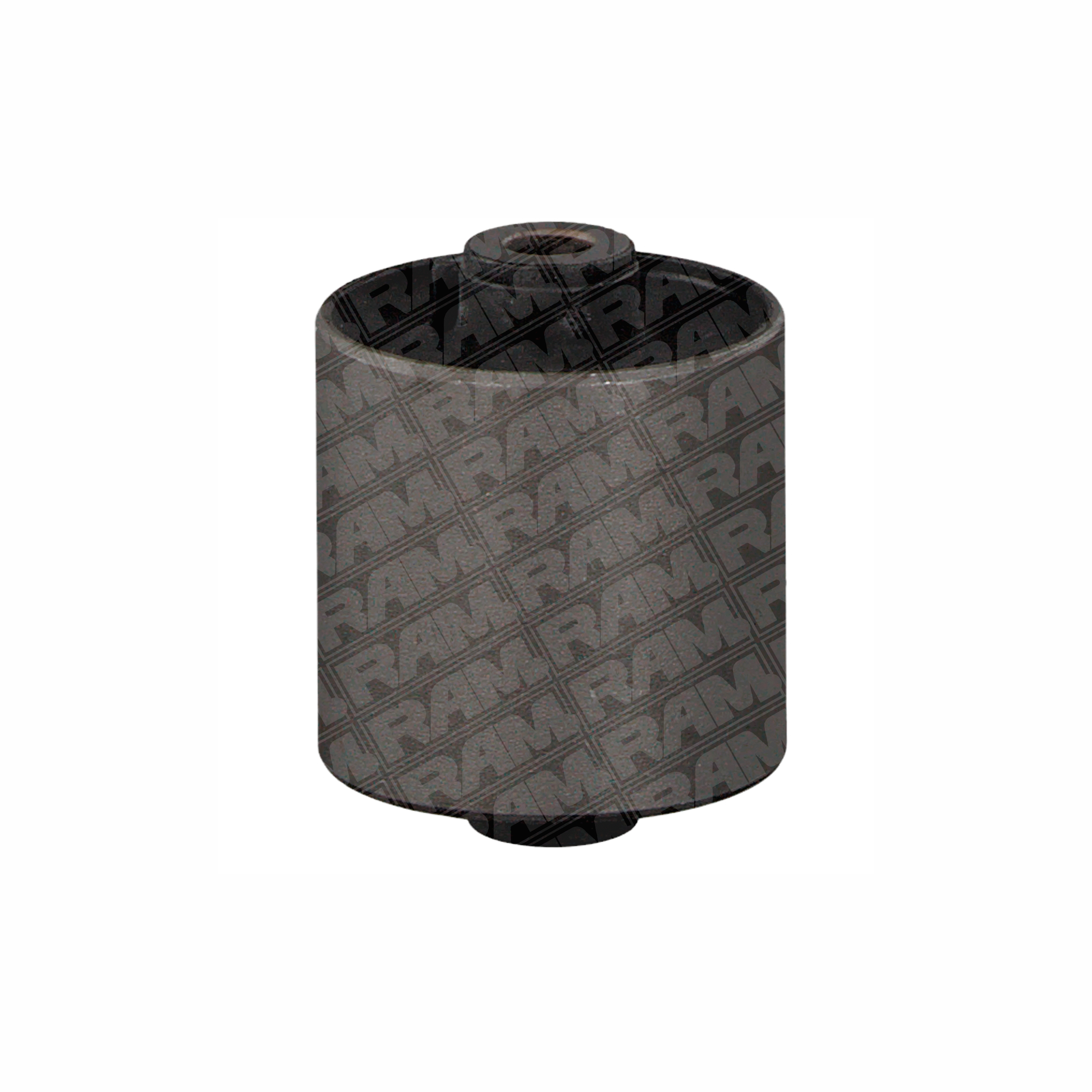 GJ6A-28-4650 Buje Tasero Mazda 3 / Ford Focus